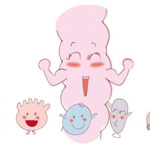 HN019TM乳双歧杆菌