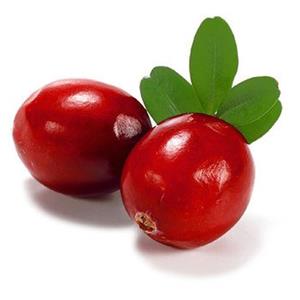 蔓越莓果粉/蔓越莓汁粉